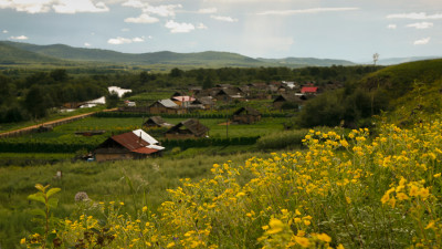 Wild Flower Village