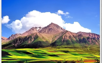 요게 우심산이라고요