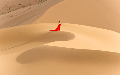 Desert Venus