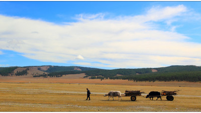 Mongolia