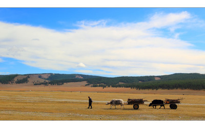 Mongolia