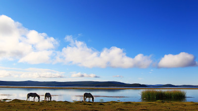 Mongolia 3