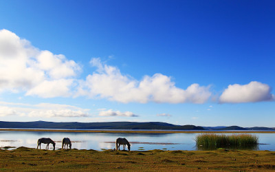 Mongolia 3