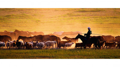 Mongolia 4