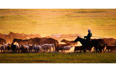 Mongolia 4