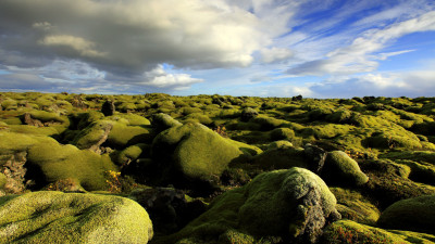 Iceland #19