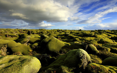 Iceland #19