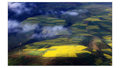 yellow