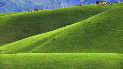 Green...
