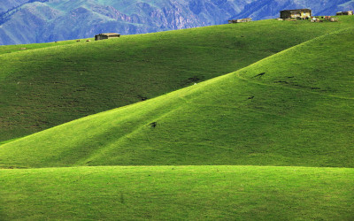Green...
