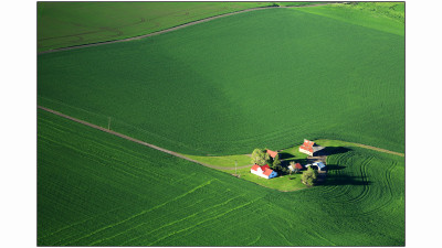 Palouse#7