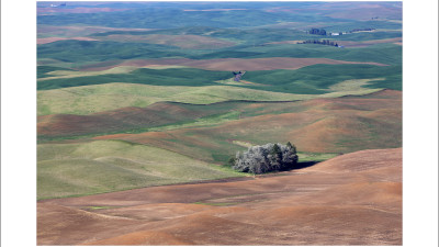 palouse