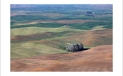 palouse