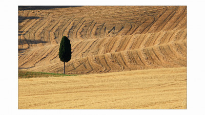Toscana#3
