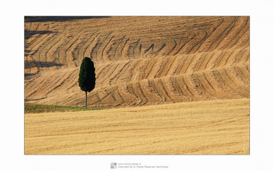 Toscana#3