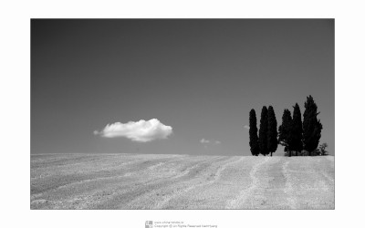 Toscana#4