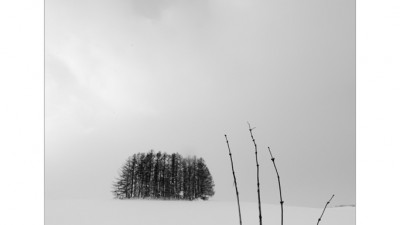 Biei