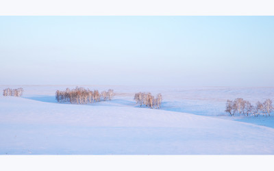 THE SIBERIAN PLAIN