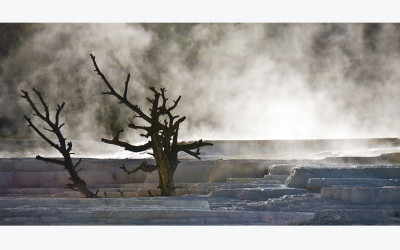 MAMMOTH HOT SPRINGS