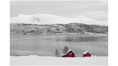 Norway #1