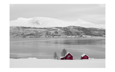 Norway #1