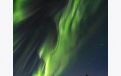 NORWEGIAN NORTHERN LIGHTS