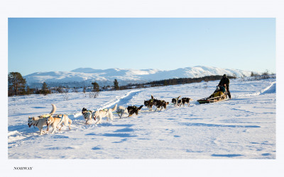 DOGSLEDDING
