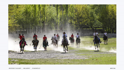 POLO