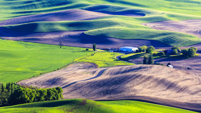 Steptoe Butte..