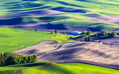 Steptoe Butte..