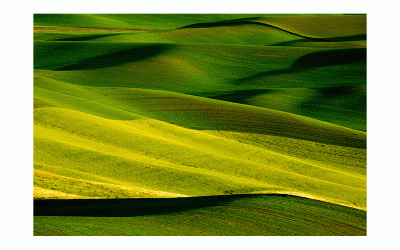Palouse