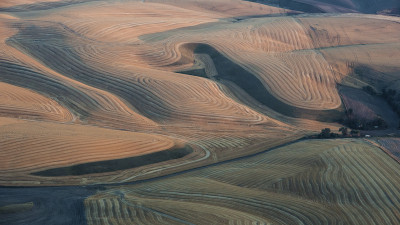 8월의 Palouse 4