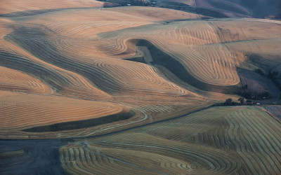 8월의 Palouse 4