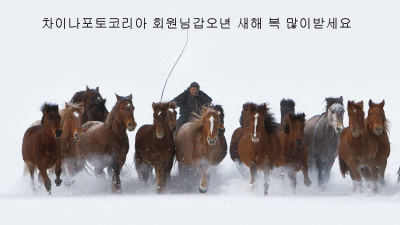 갑오년 새해 복 많이 받으세요...