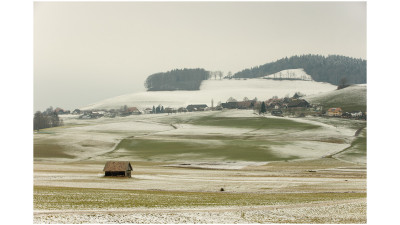 swiss#6