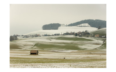 swiss#6