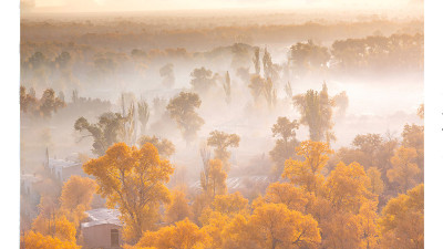 2026년11월 타클라마칸 사막 가을 촬영출사