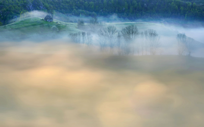 Image 393